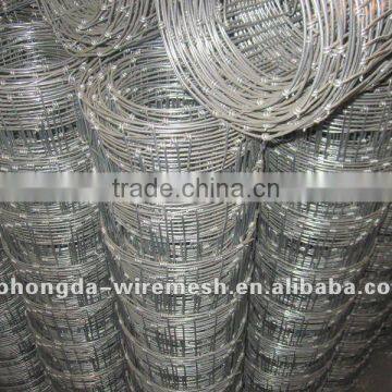 electro galvanized filed fence