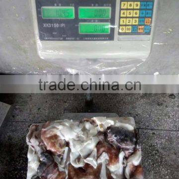 Frozen Giant Squid Neck (DOSIDICUS GIGAS ) photo-2