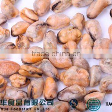 Frozen Blue Mussel Meat in Shellfish Scientific Name photo-2