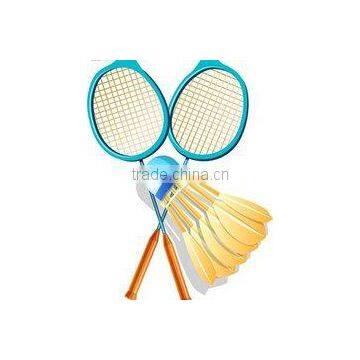 Sports Equipment,Badminton Racket, Golf Clubs, Baseball Bat Repair Fix photo-5