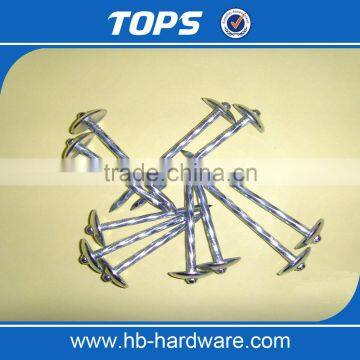 China Umbrella Head Roofing Nails photo-4