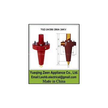 TGZ-24/250 250A 24KV  Apparatus Bushing,TGZ-24/250 epoxy transformer bushing,Apparatus Bushing TGZ-24/250