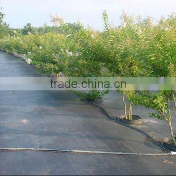 Garden protection woven ground cover