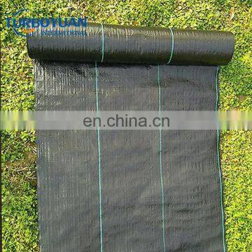 Strawberry protect plastic ground cover / black woven pp anti weed cloth for weed control