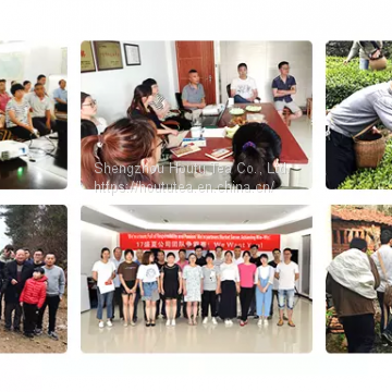 Burkina Faso et Mauritanie Popular Tea Chinese Tea 8147 Thé Vert Chinois photo-2