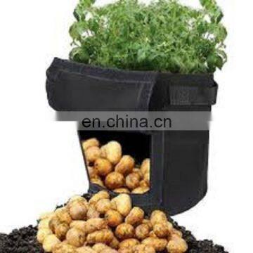 Non-Woven China supplier Garden Growing Sack Planter Bag felt growbag