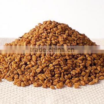 100% Original Fenugreek Oil Bulk Suppliers