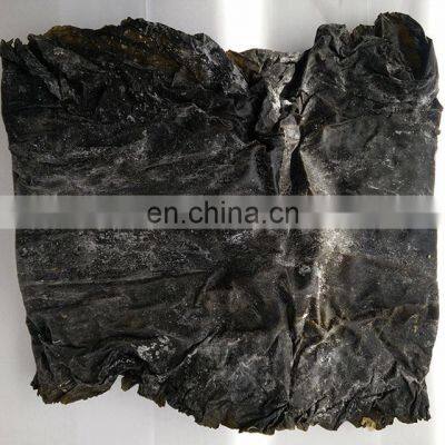 High Quality Dried Kelp photo-3