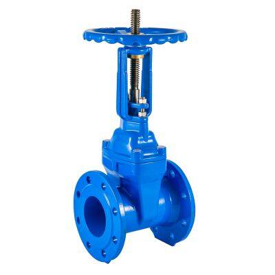 EMS Certification Cast Iron Gate Valve for Oil and Gas Pipeline Shutoff Applications