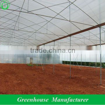 agricultural plastic greenhouse