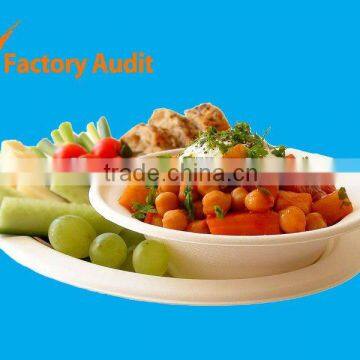 Disposable Biodegradable Bagasse Plate