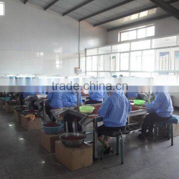 Chinese Ningxia Wolfberry ,organic Goji photo-2