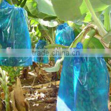 Agri plastic banana bunch covers for banana planting