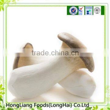 Hot sale good quality fresh King oyster mushroom