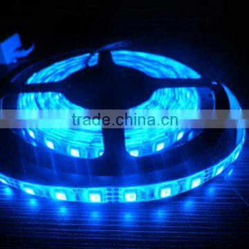 2016 Festalight Factory Price 5m/roll Ourdoor Christmas Swimming Pool Lights Smd 3528 Flxible Led Light Strip 5050 Blue ce Rohs photo-3
