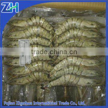 Seafood Shrimp Importer& Exporter- Frozen Black Tiger Shrimp Wholesale Price