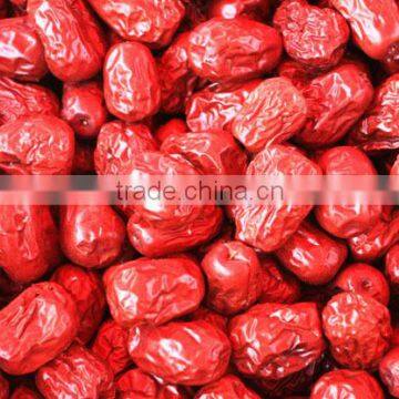 Jujube chinese red dates dates price