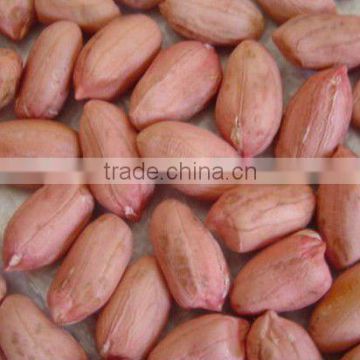 chinese peanut kernels 2014 new crop