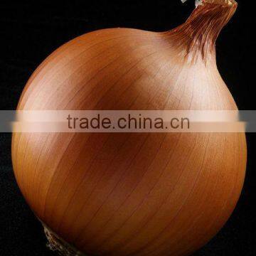sell 2013 china yellow onion red onion by good farmer
