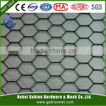 green pvc coated chicken wire mesh/ chicken wire mesh /wire mesh factory , made in china