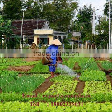 Natural Neem Liquid Fertilizer