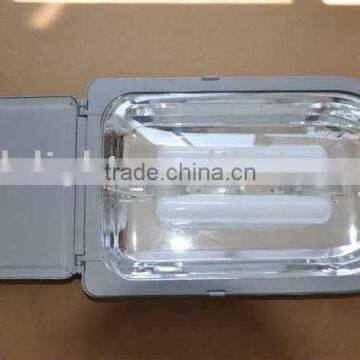 Panda Electrodeless Induction lamp street light