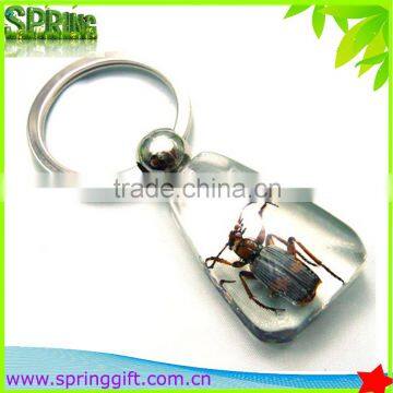 Real Insects Key Ring, Animial Specimen Sample Key Ring , Butterflies, Sea Life Amber Fashion Jewelry Key Ring photo-3