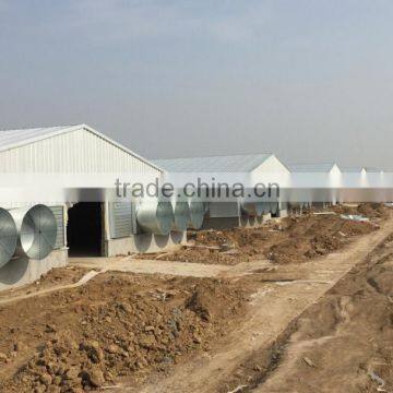 automatic environmental controlled poultry farm