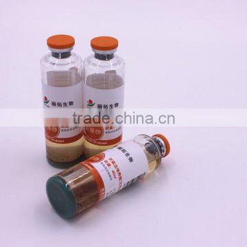 Anerobic/aerobic/Pediatric Blood Culture Bottles/.