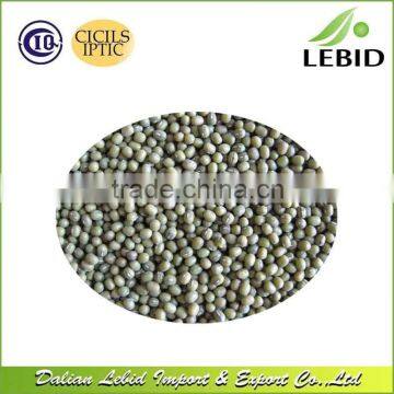 Export Green Mung Beans Specification