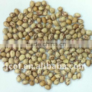 XINJIANG LIGHT SPECKLED KIDNEY BEANS ROUND SHAPED(656)