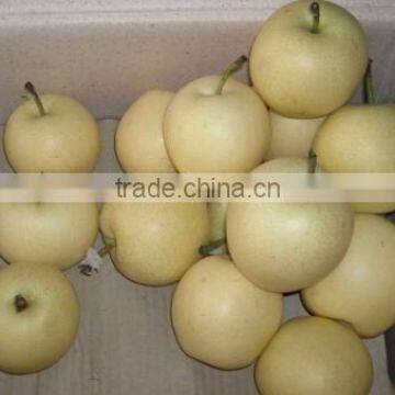 delicious sweet gong pear 2012