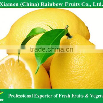 China lemon