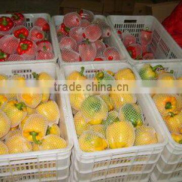 Fresh bell pepper/fresh sweet pepper/yellow bell pepper