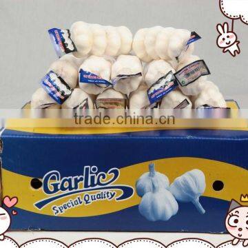 Chinese fresh garlic price in 2016