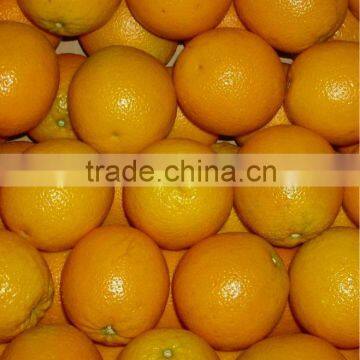 Imagine Valanica Orange