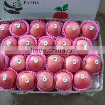 Yantai Fresh Sugar Apple for Sale