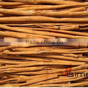 Stick Cassia