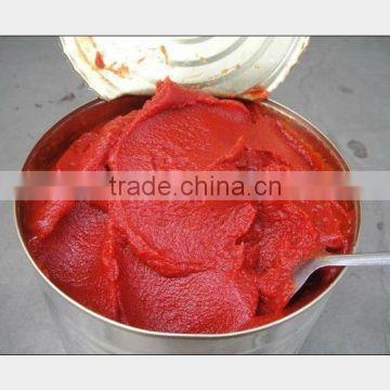 tomato sauce factory specification tomato sauce