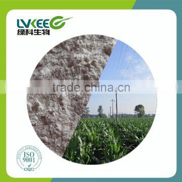 Bio Microbial Fertilizer 10 bilion cfu/g Bacillus Cereus for agriculture