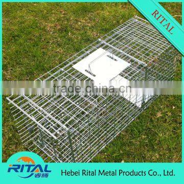 rat and mouse group feeding cage