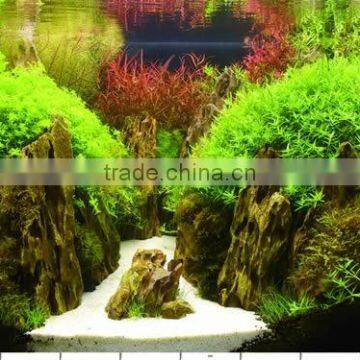 single side aquarium plastic background