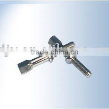 Automobile wheel hub screw