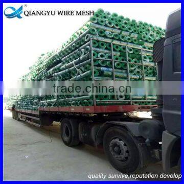 Welded Wire Mesh Manufacturer/ Cheap Welded Wire Mesh/ Welded Wire Mesh Roll photo-5