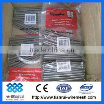 Low price polished/galvanized common nails(factory)