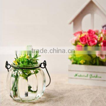 hang transparent glass vase/Other copper grass plants hang bottle hydroponic flower pot