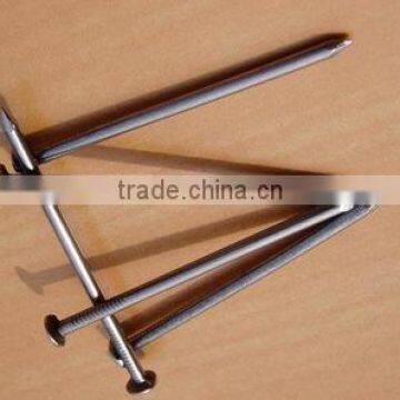 Manufacture Iron Common Nail/round Wire Nail photo-3