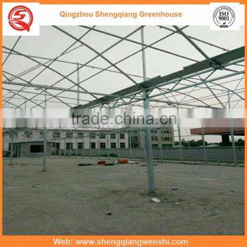 High Quality 12m Multi-span Agricultural Plastic Houses for Vegetables photo-2