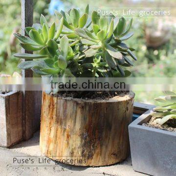 Creative garden decor handmade small wood flower planter