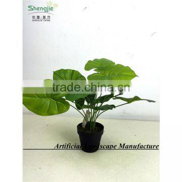 SAS201603 China Supplier Artificial Greenery Plant,Indoor Fake Ornamental Foliage Plant photo-3